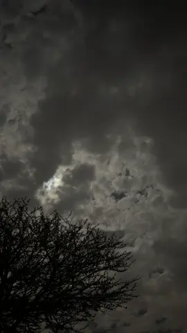 #البر #هواجيس #الشتاء #قمرا 