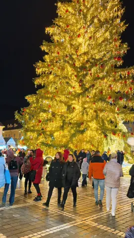 #brasov🇷🇴 ❤️❤️❤️❤️❤️