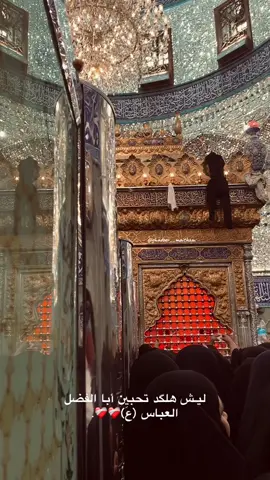 #كربلاء_مدينة_العشق_والعاشقين #السلام_عليك_يا_ابا_الفضل_العباس_ع #قمر_بني_هاشم #تصويري #fyyyyyyyyyyyyyyyy 