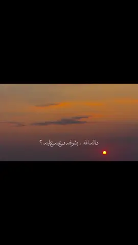 النه الله #سيد_فاقد_الموسوي #تصويري #تصوير #تصوير #تصويري📸 