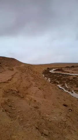 #البيضاء_الجبل_الاخضر❤🔥 #الجشه_تنملو#الوطن_القبلي #شعب_الصيني_ماله_حل😂😂😂 #Could_امطار_الخير_ان شاء الله 💚