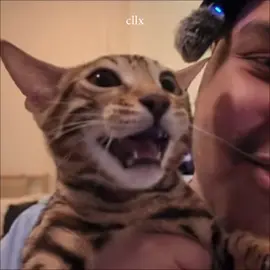 سلامه وصل لحاله خطييييره @UncleHattan @unclehattan2 #القنبله #هتان #unclehattan #fyp #explore 