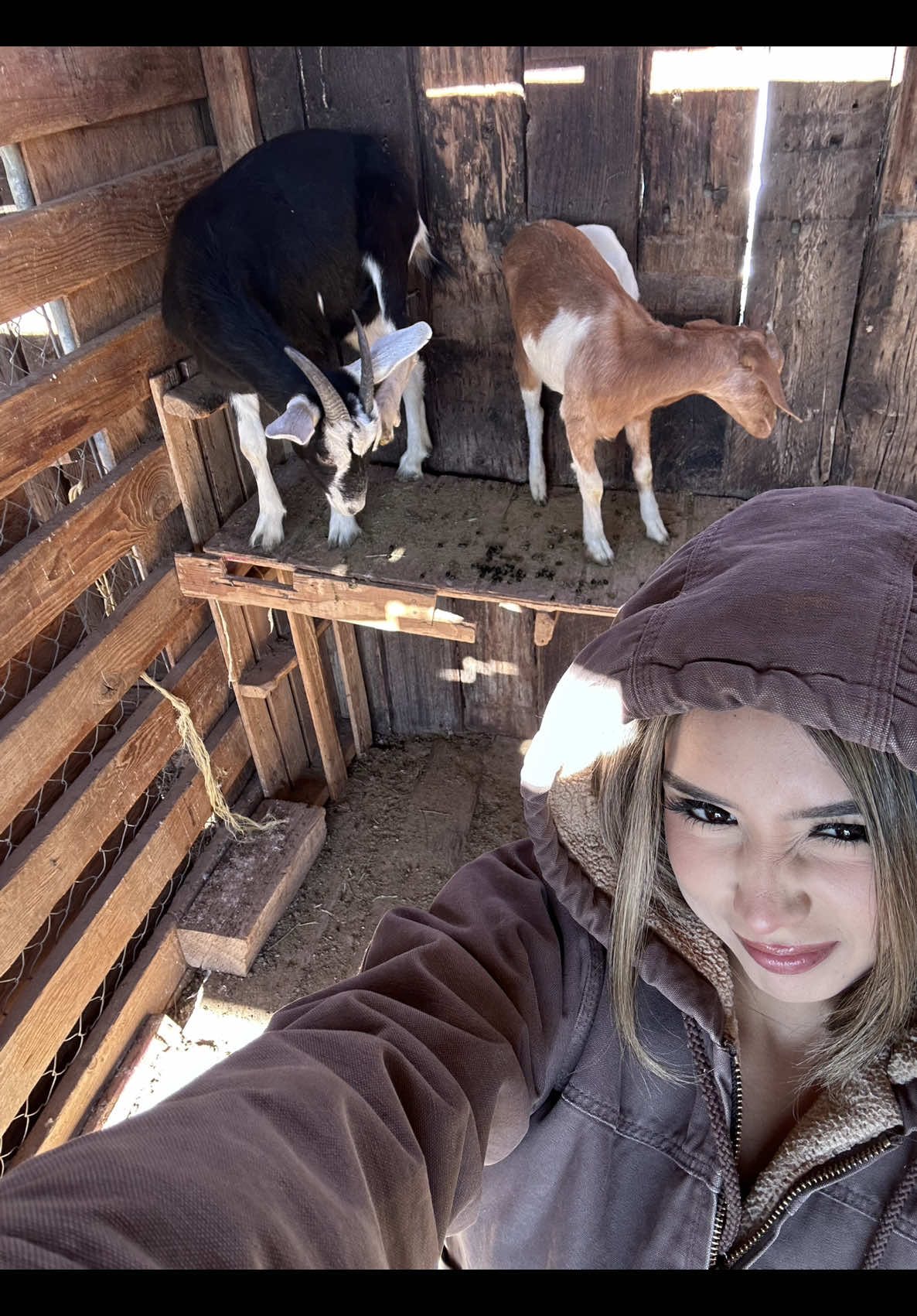 guys i need a sombrero 😭 #arianallamas #lasvegas #ranchera #vaquera #fyp 