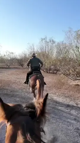 PSA: If you’re a criminal illegal, you WILL be arrested & deported. ✨