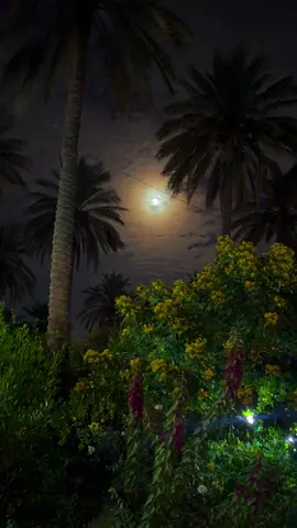 القمر ☁️🍃