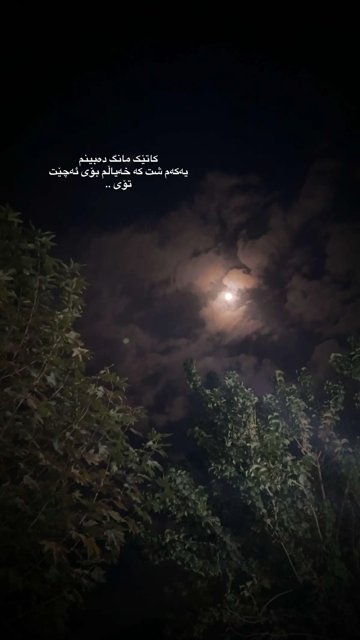 🌚, #fyp #foryou #foryoupage #actives? #viral 