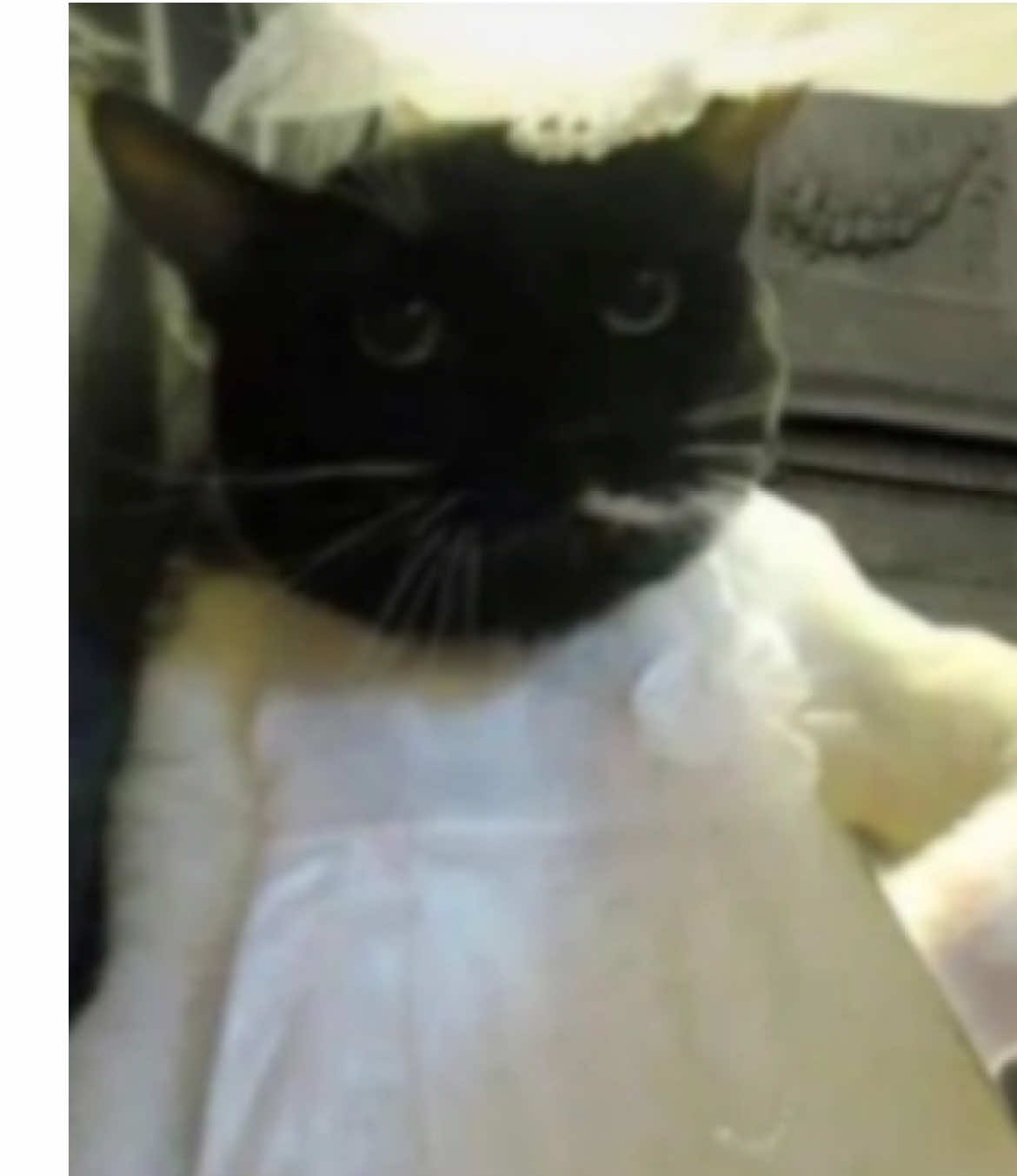 #xoxo #parati #amoamimaridohermoso #fyp 