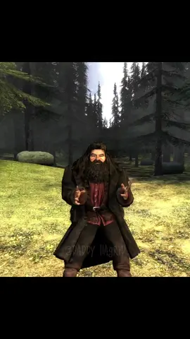 Naughty Hermione😠 #harrypotter #hermionegranger #daddyhagrid #dobbythehouseelf 