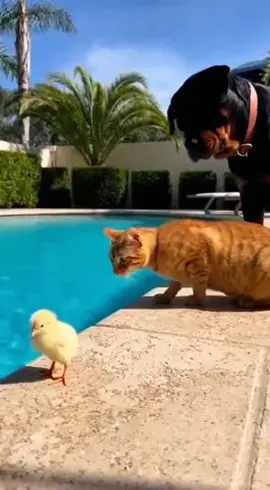 🤣🤣🤣🤣🤣🤣🤣🤣🤣