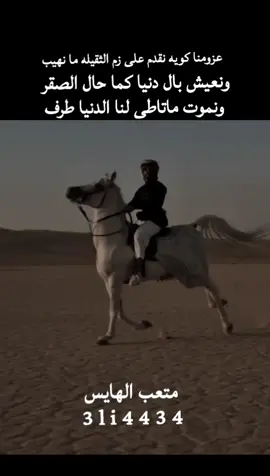 #قصيده_شعر عزومنا كويه نقدم على زم الثقيله ما نهيب ونعيش بال دنيا كما حال الصقر ونموت ماتاطى لنا الدنيا طرف 