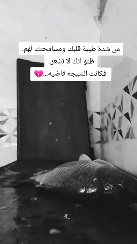 #ابن_الموصل @ايمن الحنين #حقيقة #واقع_حال #صعدو_اكسبلورر #لاتنسوا_لايك_ومتابعة 