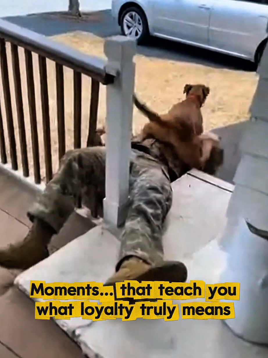 Moments that show what loyalty really looks like… Every reunion, every tear, every heartbeat this is love in its purest form Follow for more emotional real-life moments ❤️🐾 #soldiercominghome  #petslover  #emotionalmoment  #hearttouching  #foryoupagе 