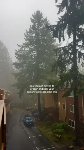 Give me all the oregon rain and fog if it looks like this!!! 😍😍 #oregonlife #portlandoregon #forestcore #oregon #pnwlife 