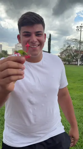 Na duvida, use arritmia 💚💙💚 #fyp #moda #humor #dancinha #foryoupage 