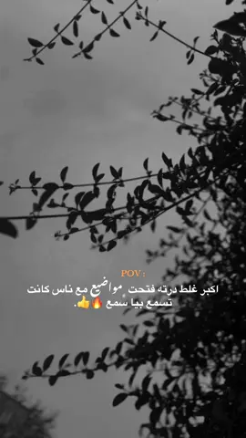 #creatorsearchinsights 