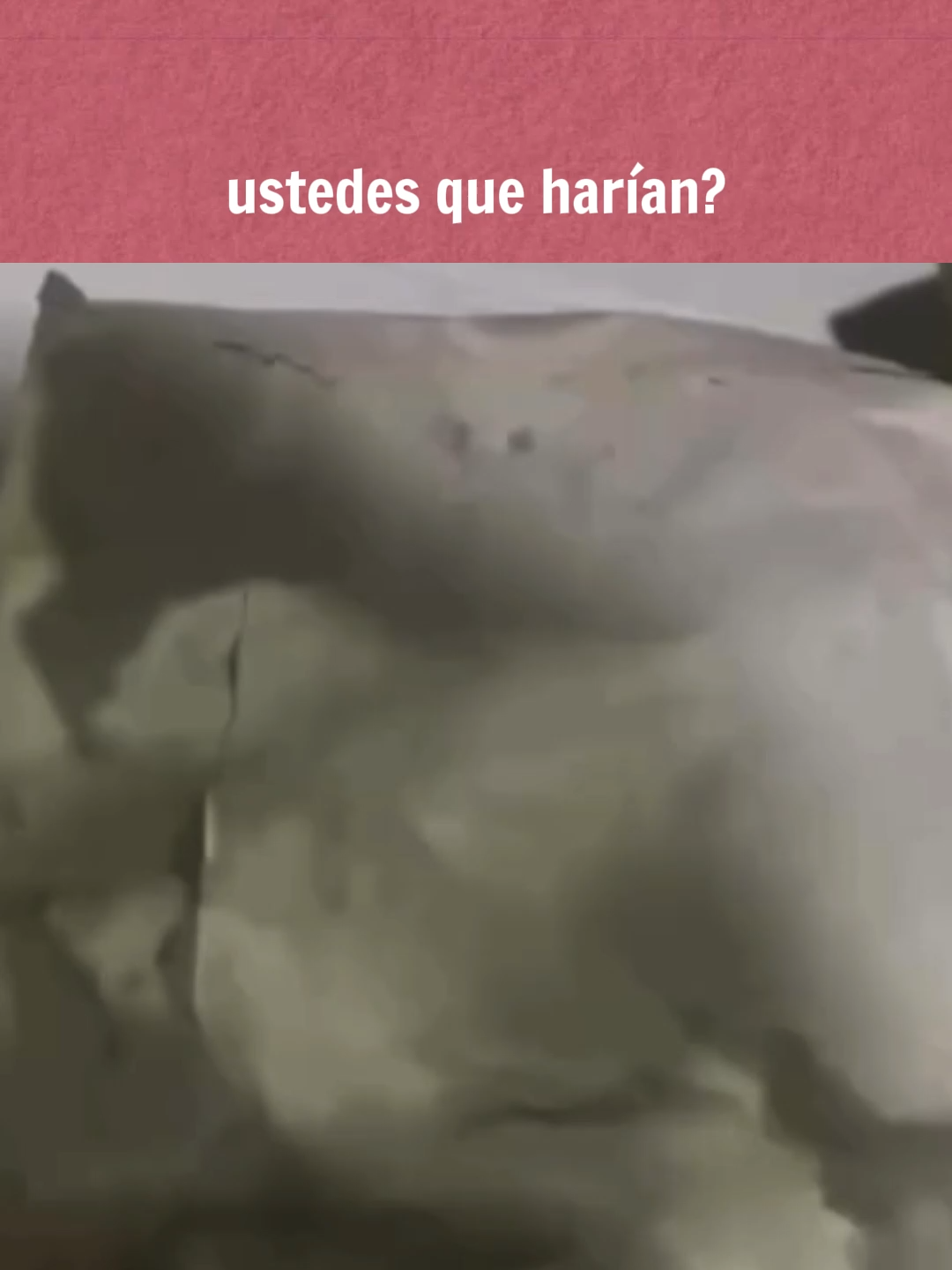 diganme en los comentarios a