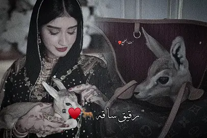 طلب من الخاص 📩♥️ .     #تصميمي  #تصميم_فيديوهات🎶🎤🎬  #قذاذفه_ياكبدي_مازلنا_سيادك_يالدوله👑  #سرتنا_سرت_ليبيا💚🌻  #مالي_خلق_احط_هاشتاقات  #اعادة_النشر🔃  #رافع_العكوكي 