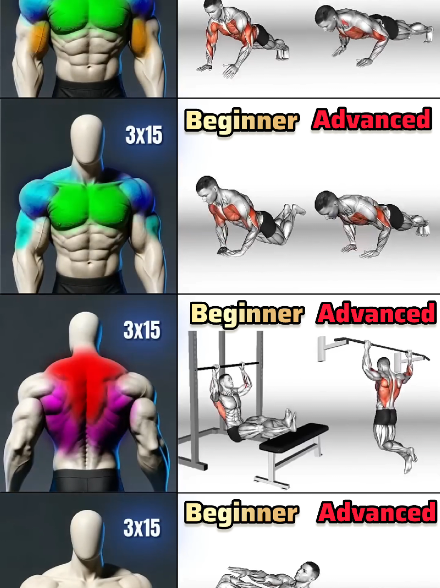 UPPER BODY WORKOUT (Beginner to Advanced) – Build Strength Faster! UPPER BODY WORKOUT — Beginner to Advanced (4 Moves Each) Perfect for building strength, definition, and full upper-body control. All exercises are 3 sets x 15 reps. Rest: 45–60 seconds between sets. --- 🔥 BEGINNER LEVEL (4 Exercises) 1. Regular Push-Up – Chest, shoulders, triceps 2. Decline Push-Up (Hip Lift) – Upper chest, shoulders 3. Australian Pull-Up – Back, biceps, rear delts 4. Basic Crunch – Abs, core stability --- 🔥 ADVANCED LEVEL (4 Exercises) 1. One-Arm Push-Up – Chest, triceps, core, unilateral control 2. Explosive Push-Up – Chest, shoulders, power 3. Kneeling Pull-Up (Weighted/Explosive) – Lats, upper back, biceps 4. Bicycle Crunch – Entire core, obliques --- ⚡ Workout Goal Train for yourself, not to beat others. Focus on form, slow control, and progressive overload. Stronger every week — inside and outside. #upperbodyworkout #homeworkout #calisthenics #strengthtraining  #workout 