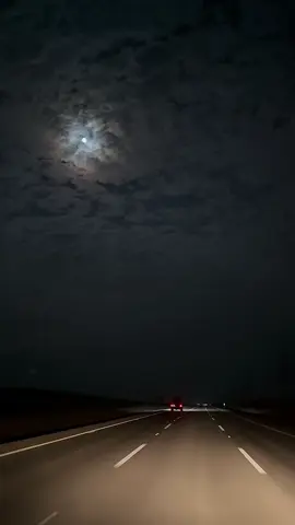 #explore #مسرى_اخر_الليل #قماري 