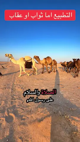 المقهور #الابل_عطايا_الله_عشاق_البداوة_🐪😍 #الشعب_الصيني_ماله_حل #حرش_العراقيب #creatorsearchinsights #الصفر 