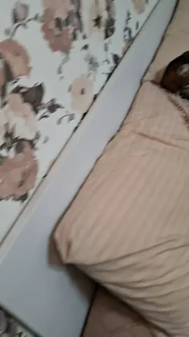 Парагон в настрої, дозволив Молясику лягти біля себе 🤣