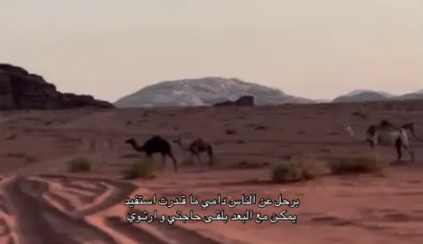 #اكسبلورexplore #الشعب_الصيني_ماله_حل😂😂 #شعر #قصايد #fypシ゚ 