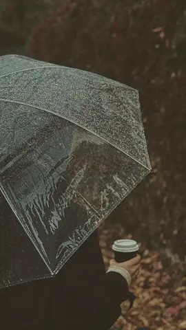 نسير لأن خيار التوقف ليس بأيدينا...... #مزاجيات #اعادة_النشر🔃 #لايك_اكسبلور_كومنت_فولو_متابعة #محظورة_مشاهدات #ربما 