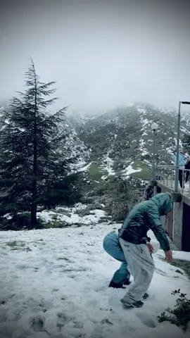 #شعب_الصيني_ماله_حل😂😂 