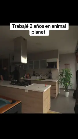 #mrstiventc #eidenclips 