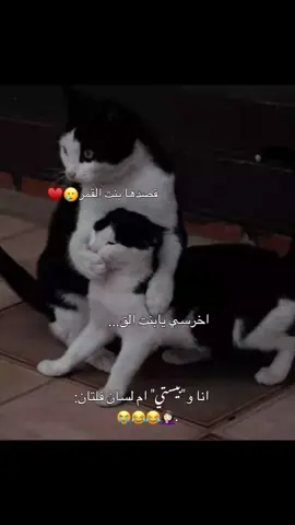 انا وبيستي ام لسان فلتان🥲#منشن #البست_فرند🎀 @قمرالزمان😌❤️‍🔥 