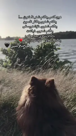 #foryou #kurdistan #londonlife #virale #ئەکتیڤم_سفرە 