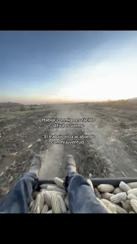 #fuerzaregida #trabajo #contenido #agricultura🚜🌱 #agro 