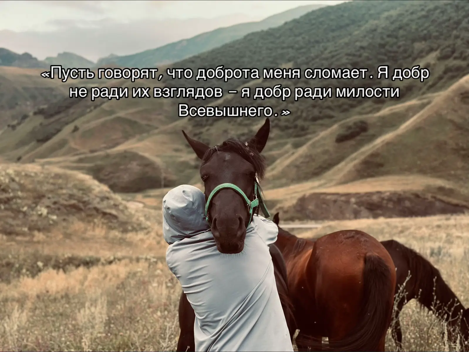 #врекомендации #горы #рекомендация #дагестан #лошади 