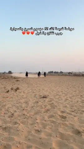 فك اللجام وانسى همك 🥹@مربط اوزلاين🐎♥️ #مالي_خلق_احط_هاشتاقات #الشعب_الصيني_ماله_حل😂😂 #fyp #خيل_وخياله🐎 #explore 