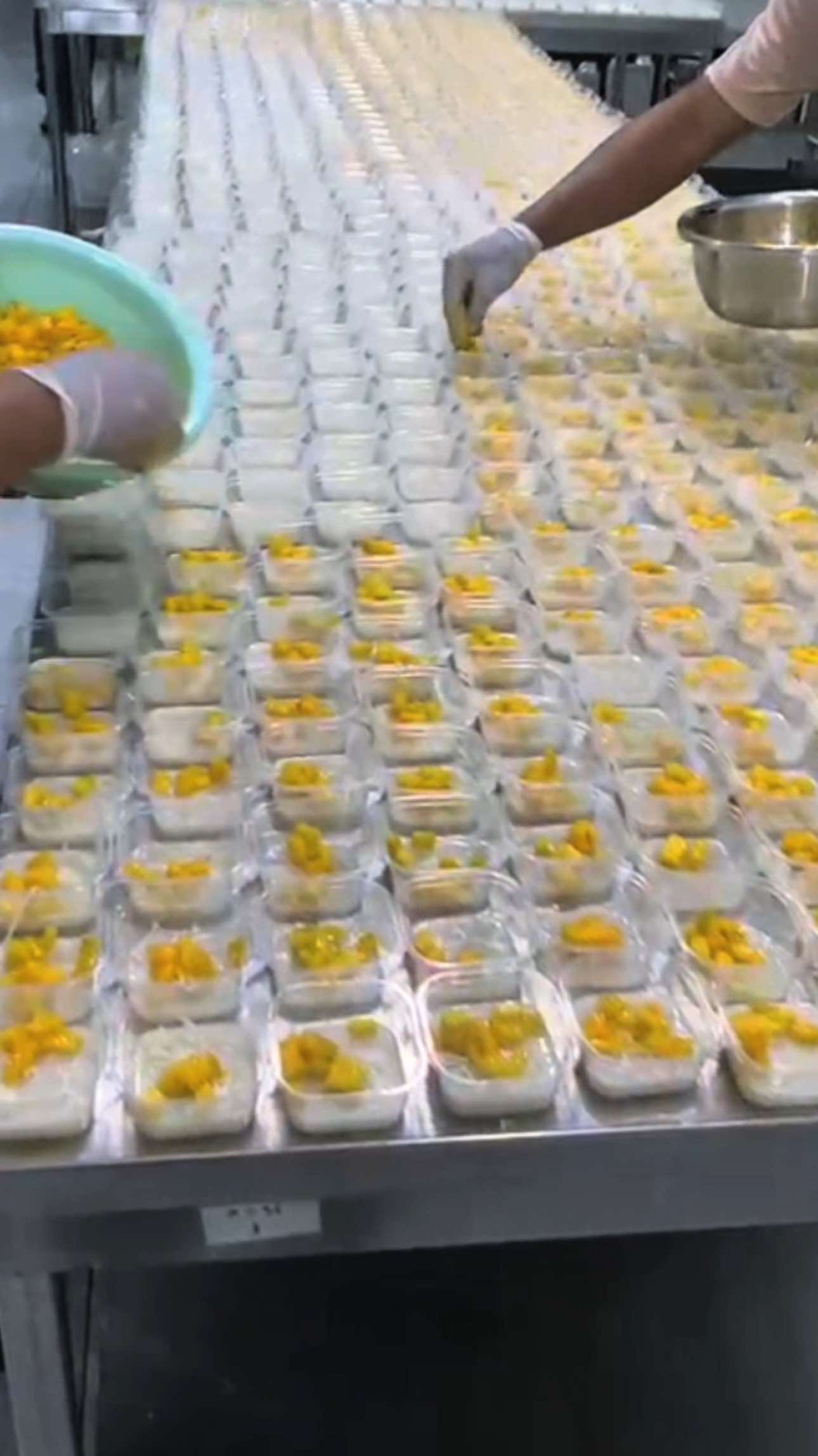 ✨Today’s Menu Puding Mangga 🍮🍮🍮🍮🥭🥭🥭🥭🥭 #fyp ##makansianggratis #programmakansianggratis #programpemerintahmakanbergizigratis #mbg 