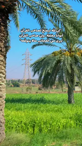 اللهم الثبات.🤍 #القليب #ليبيا #ليبيا_طرابلس_مصر_تونس_المغرب_الخليج #قران 