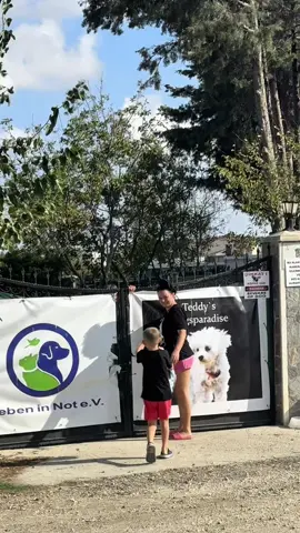 In Turkey, dogs are tortured every day, locked in kill shelters, dying of hunger, eating each other. They are dying. All with the government’s permission.  Help us help them. fb: „Z piekła do domu - ratujemy psy i koty z Turcji” #dogsoftiktok #rescuedogsoftiktok #rescueanimals #helpdogs #turkeytravel 