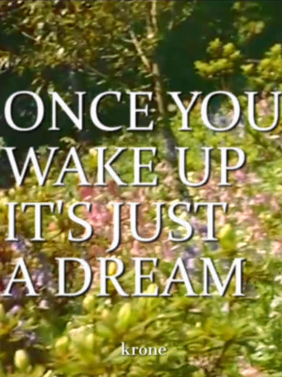 #edit #natureaesthetic #liluzivert #flowers #dream 