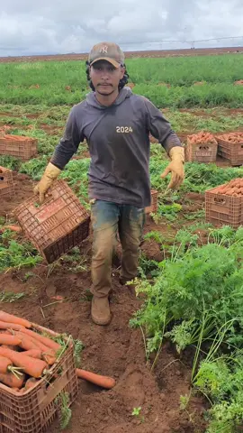 #os #garotos #do #AGRO 😎🫡🥕