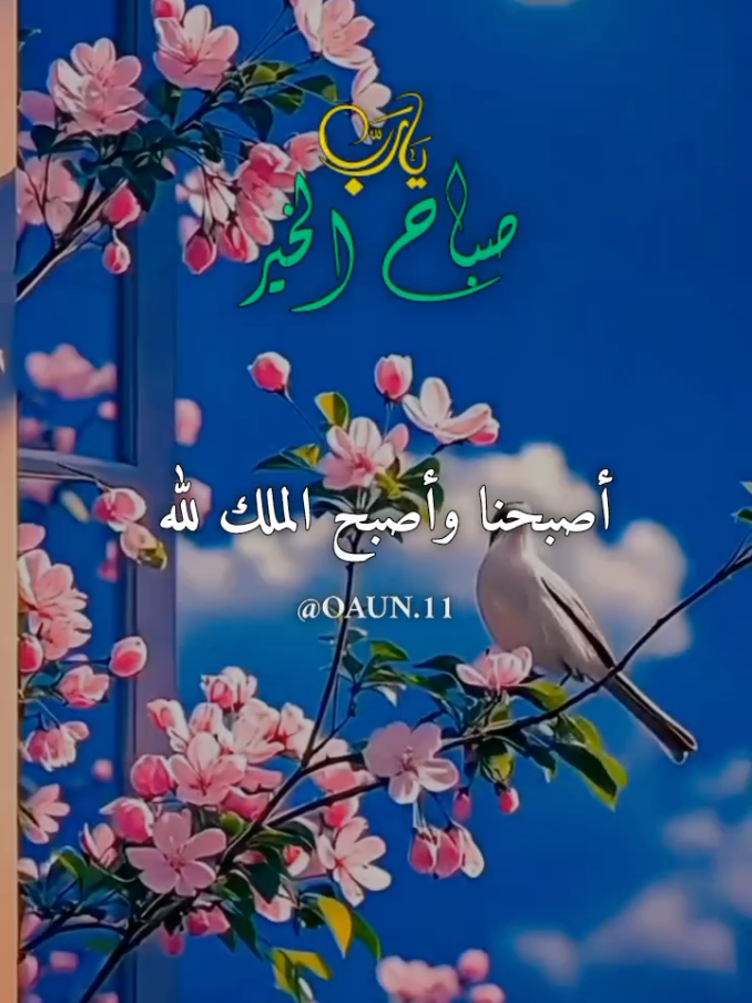 دعاء صباح يوم السبت 🎀🥀06/12/2025 أصبحنا وأصبح الملك لله والحمد لله ولا إله إلا الله  #دعاء_صباح_يوم_السبت #دعاء_يريح_القلوب #السبت #ادعيه_مستجابه #اللهم_صل_وسلم_على_نبينا_محمد 