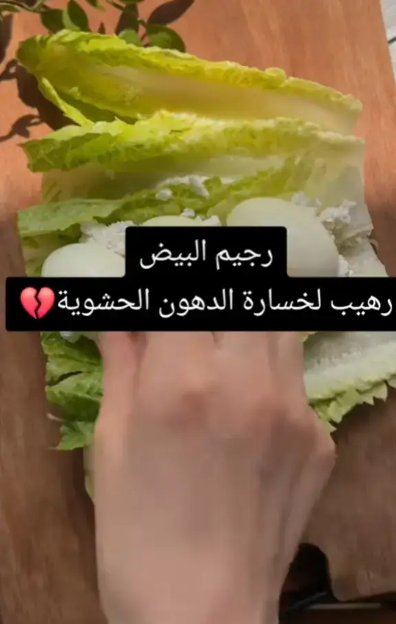 #تركيا #سعوديه #لبنان #نحف 