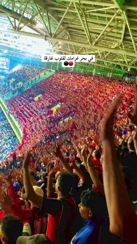 #usmalger🔴⚫ #riyasdzayer❤️⚓️🖤 #lesunionistesalgérois⚫️🔴 #elassima🔴⚫✊ #الشعب_الصيني_ماله_حل😂😂 