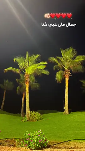 #foryou #foryoupage #fyppppppppppppppppppppppp #explore 