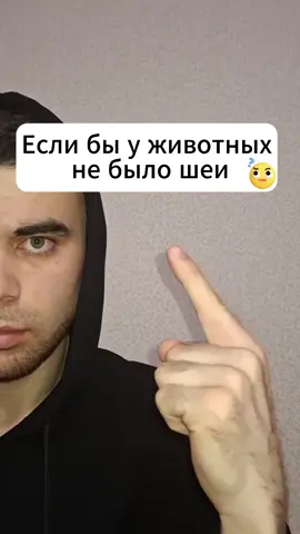 делайте выводы #fyp #foryou #рекомендации #рек #животные #если 