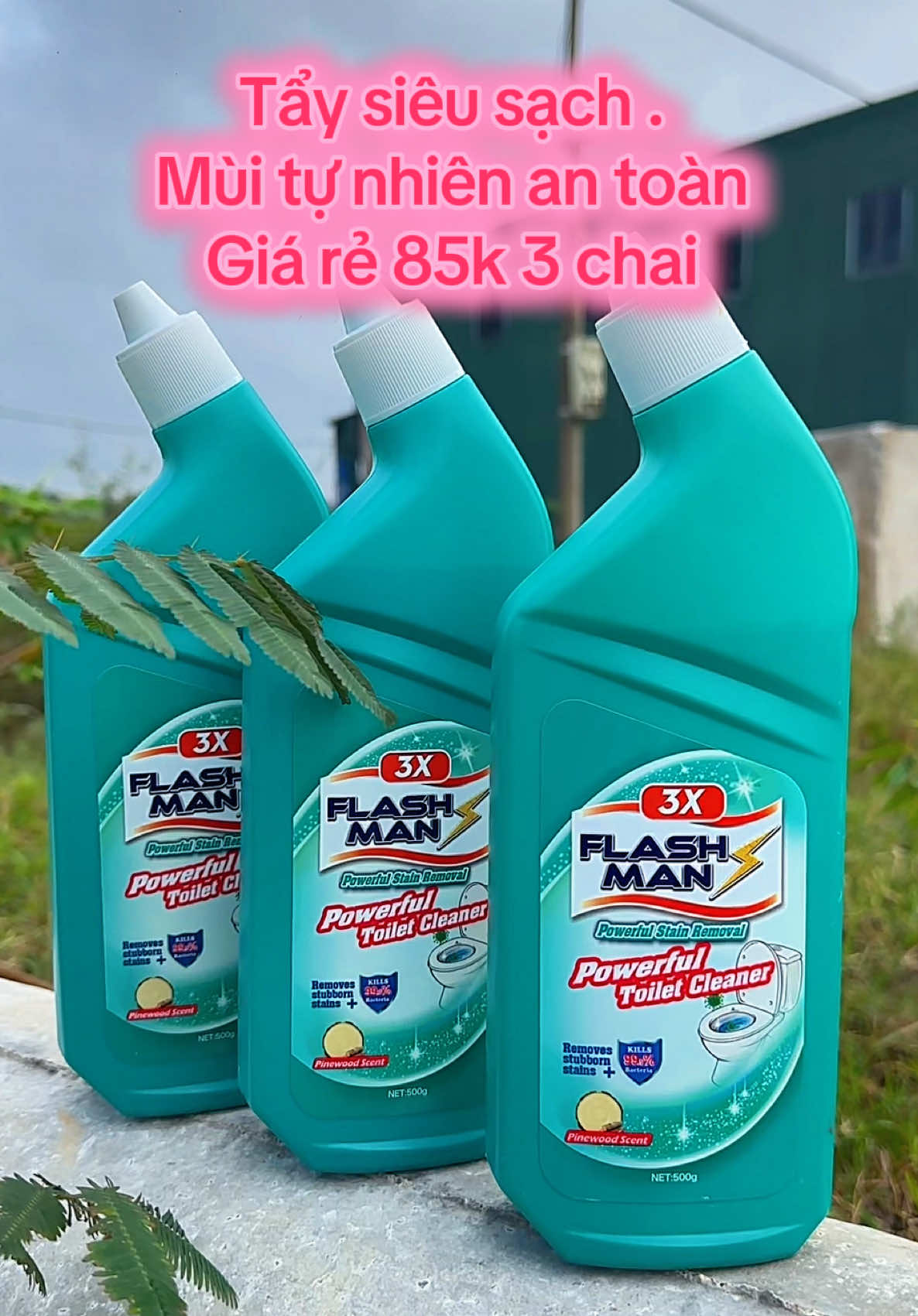 Tẩy bồn cầu flash man tẩy siêu sạch .thơm mùi hương gỗ tự nhiên , an toàn cho da tay . Rẻ - Combo 3 chai 85k miễn ship #taphoamemo1016 #tayboncau #tayboncauflashman #xuhuong #tiktok 