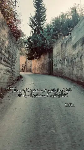 #تصويري📸 #فلسطين🇵🇸 #قباطية #ابو_رجا🖤 