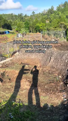 Untung tidak di gigit jika🤣🤣 #fyp #katakata #sulawesi #fyppppoppopppppppppppp 