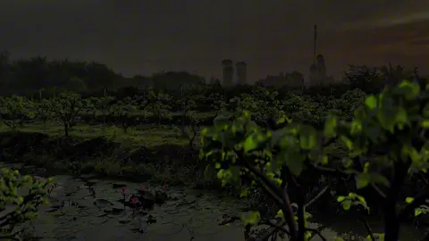 Bước Cùng Xuân Trên Quê Hương Miền Tây #tet #tet2026 #tetnguyendan2026🧧🎆🧨 #khongkhitet #viral 