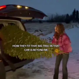 they really locked in #kalogeras #kalogerassisters #kalogerasisters #tree #fyp @demitrakalogeras @sundaykalogeras @Eliana Kalogeras 