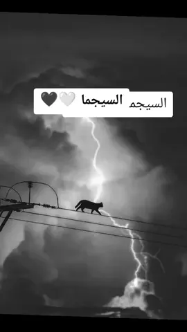 . . . . . . . . #السعودية🇸🇦 #السيجما_الذئب_المنفرد #المغرب🇲🇦تونس🇹🇳الجزائر🇩🇿 #رويات #علومxدقيقة 